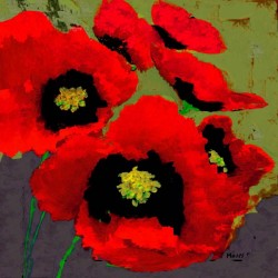 RED POPPIES ON OLIVE